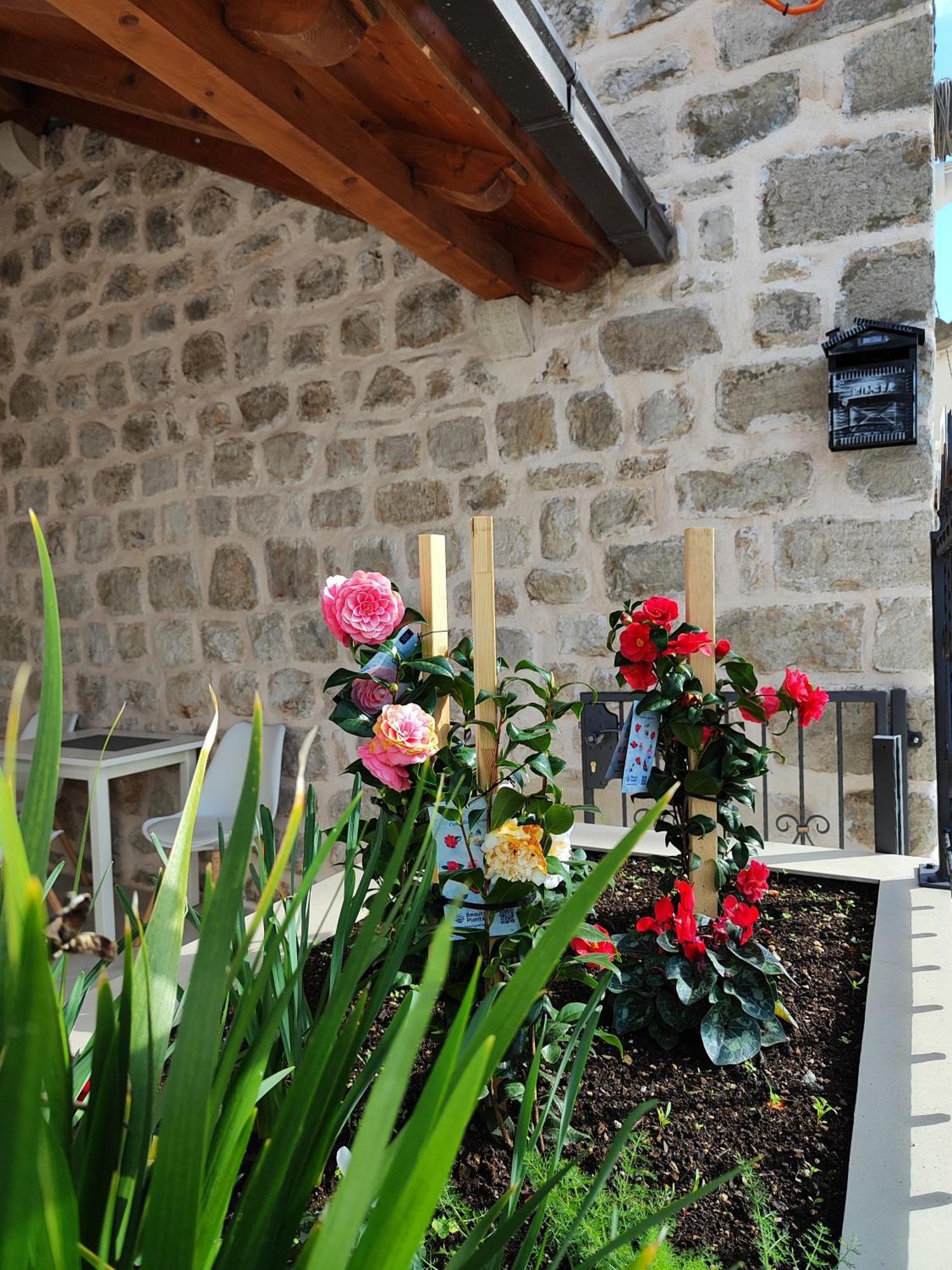 Apartments Harriete Ντουμπρόβνικ Εξωτερικό φωτογραφία